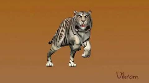 Tiger and Ninja Run Cycles