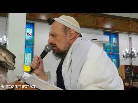 הרב דב קוק שליט"א בשירת "שיר הכבוד"