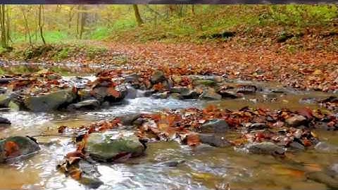 تلاوة هادئة و رائعة "ولا أروع"سورة نوح كاملة