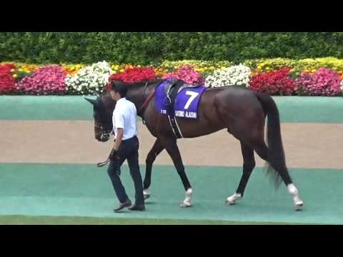 安田記念（Ｇ１）現地観戦　パドック　サトノアラジン