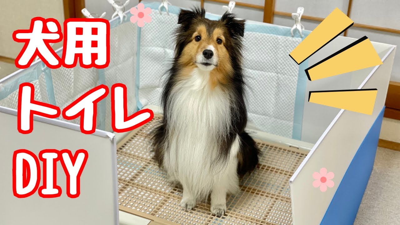 DIY】プラダンで80cm×80cmの犬用トイレを自作してみた - YouTube