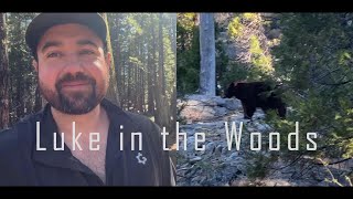 4 Days Solo Camping  BEAR ENCOUNTER, river crossings, and lighthearted banter