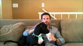 Shake Smart Infomercial Joke