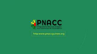 Pnacc Guinee