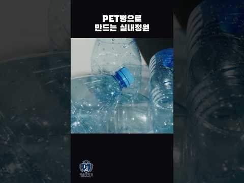 PET병으로 만드는 실내정원