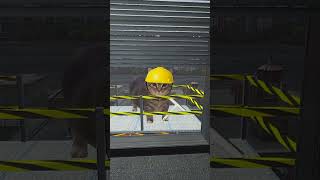 OIIA CAT Window Cleaning Services 