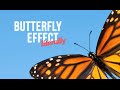 The Butterfly Effect, Literally