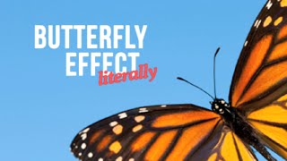 The Butterfly Effect, Literally