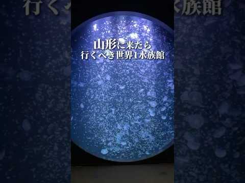 山形　世界一の水族館