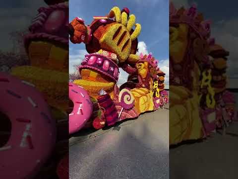 @Corso Zundert #flowers #festival