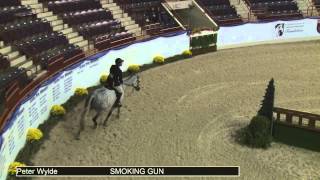 668 SMOKING GUN Peter Wylde, Class 84 High Performance Working Hunter Handy