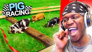 Pig Racing but KSI Cheats the System