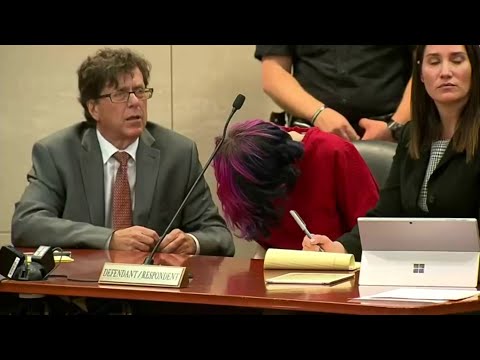 Suspect in Colorado school shooting makes first court appearance