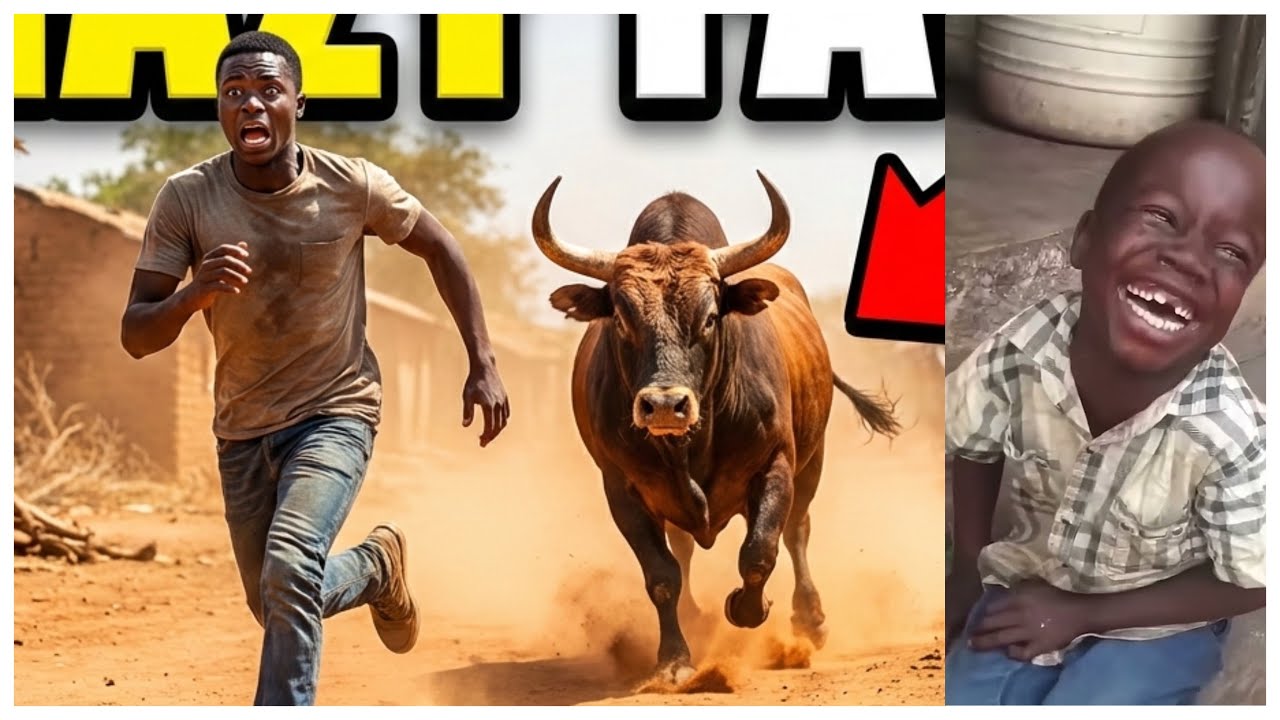 Epic fails compilation 2026 🤣Try not to laugh level 5