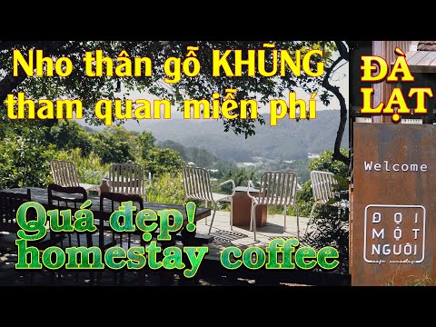 Video Đà Lạt review vườn nho thân gỗ độc lạ, homestay coffee... - youtube