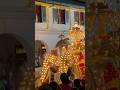 The Majestic Elephant Kings of Kandy Esala Perahera