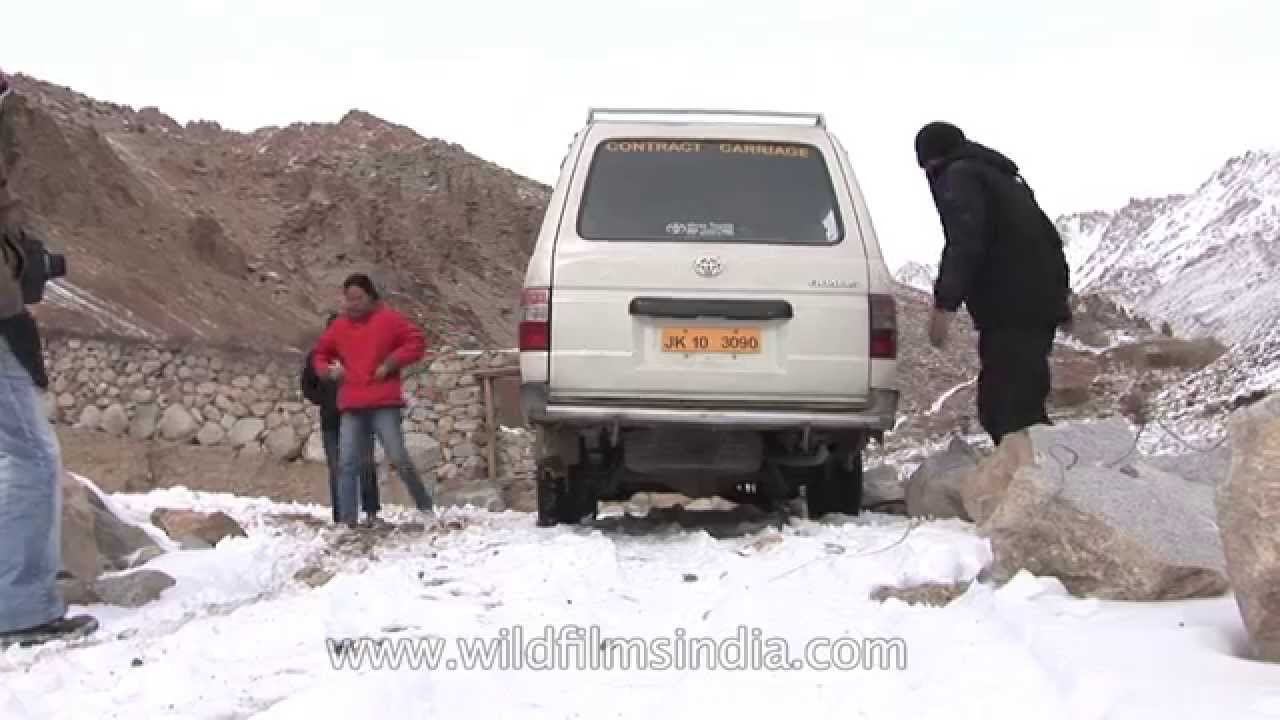 Men fix chains to car tyres for safe driving on icy roads Ladakh YouTube