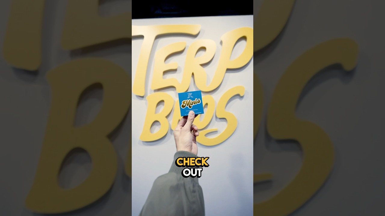 Legal Cannabis in Astoria Queens !!! I Checked out Terp Bros—amazing selection & staff! 