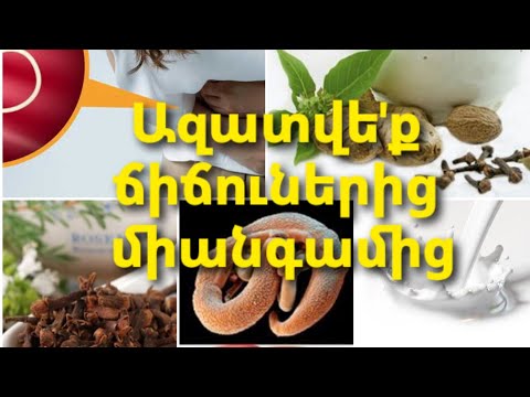 Video: Թթու վարունգի դեմ պայքար - Ինչպես նկատել և բուժել թթու որդերի վնասը