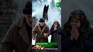 Ayi Mangalin Kokusunu Almiş. I Öy Iş Şfet