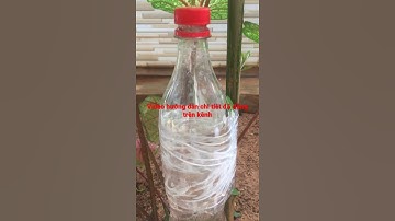 Tưới nhỏ giọt điều chỉnh lượng nước đơn giản