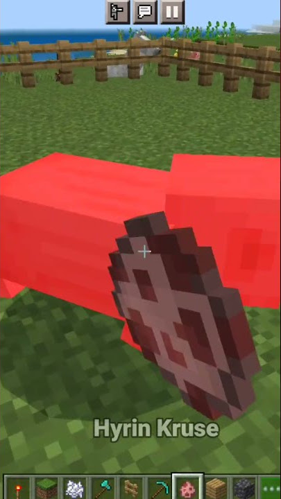 Minecraft In Reality... #viral #minecraft #shorts