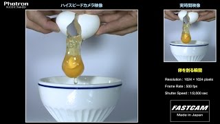 「卵を割る瞬間」のスローモーション映像