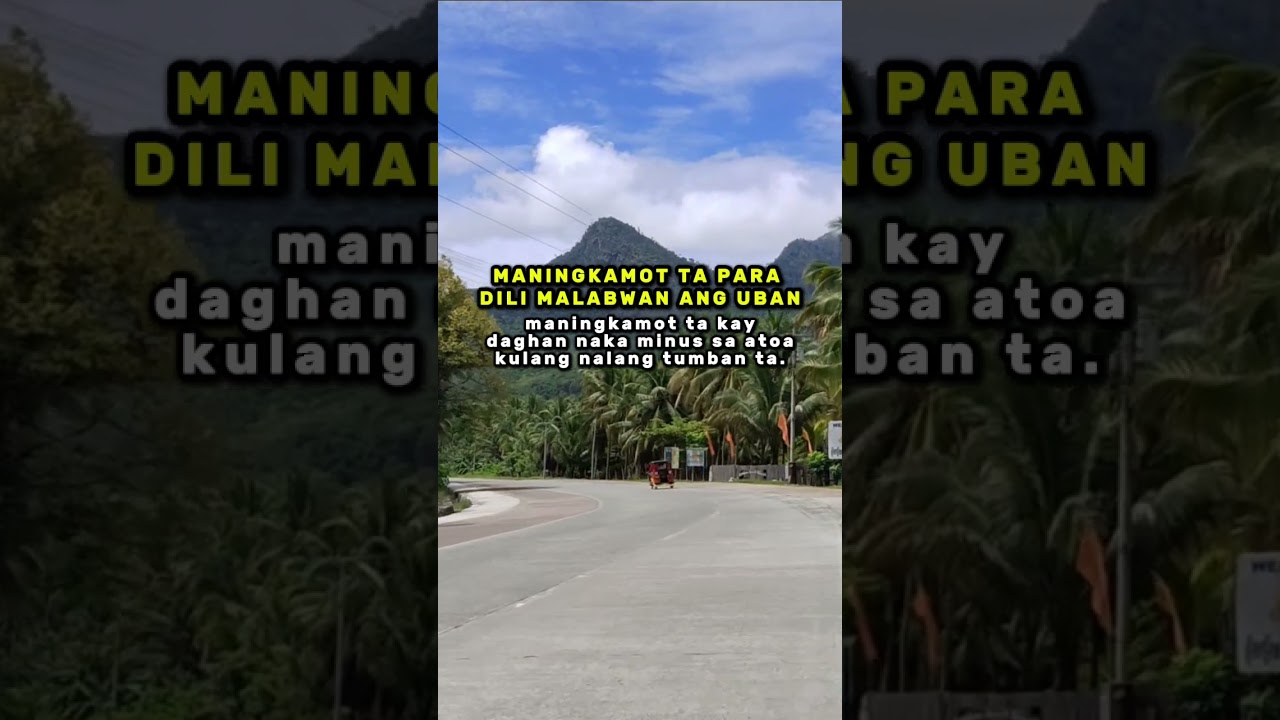 Maningkamot 