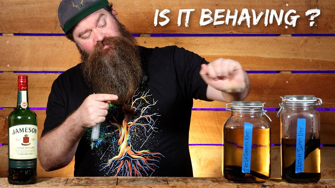 2 Month "Safety Net Irish Whiskey" Progress Report