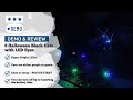 🎃🐱 Glowing Black Cats Invade Our Yard - A Spooky Halloween Surprise!👻🌙