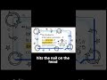 Genetic Counseling Empowering #dnasequencing#genetics #geneticcounseling #pedigreeanalysis#shorts