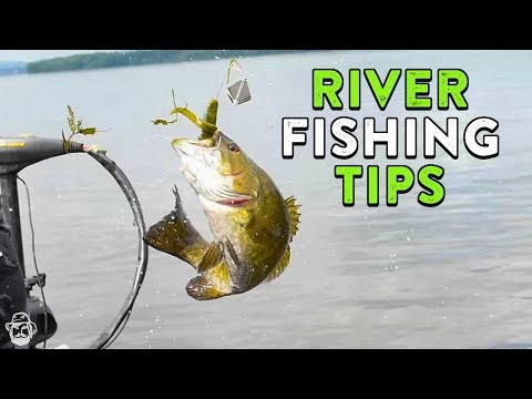 Summer River Fishing Tips  Mississippi River Bass Fishing 