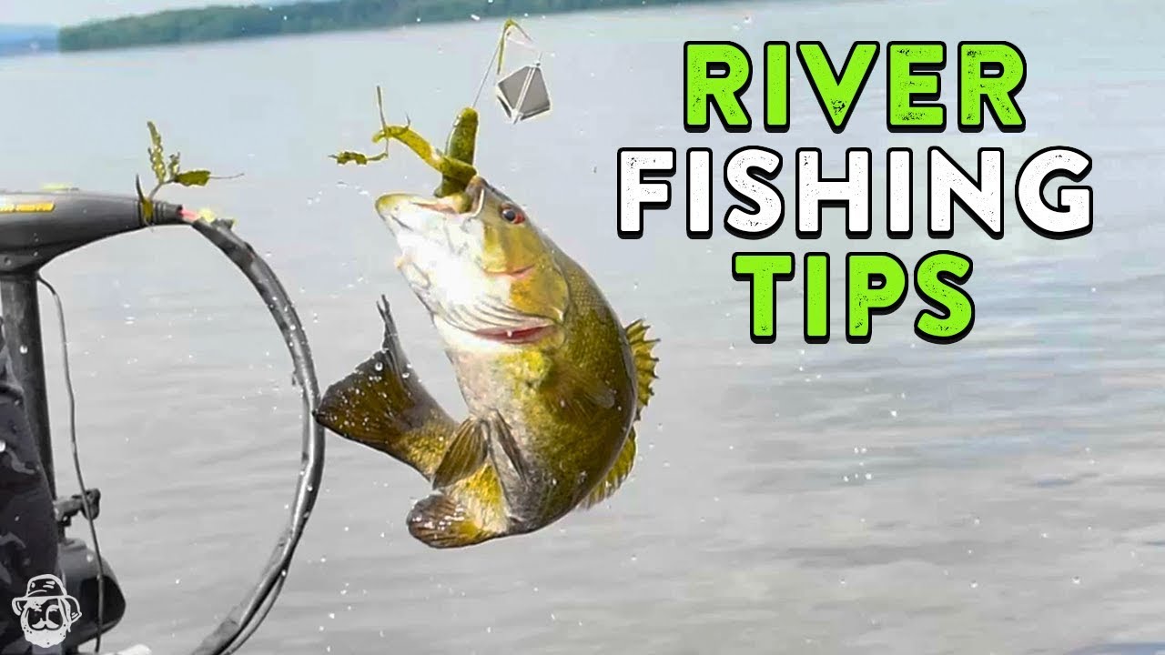 Summer River Fishing Tips  Mississippi River Bass Fishing 