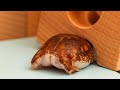 Pretty Butt of The Round Frog.