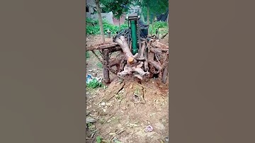 cool tool for removing tree trunks down to the roots #shorts