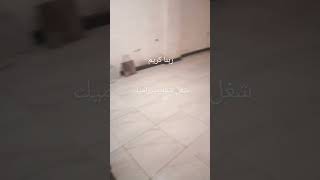 شغل حوائط سيراميك وارضيه سيراميك حكاية كل يوم