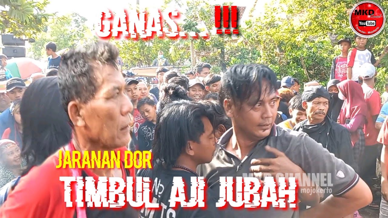 ganas...!! jaranan dor timbul aji jubah live wonorejo trowulan