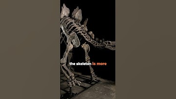 Big Scandal in the World of Paleontologists! | #dinosaurs #facts #paleontology #dinomachine