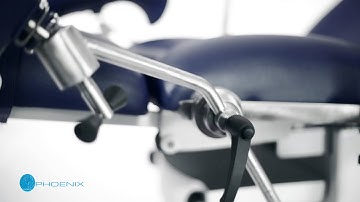 Phoenix Delivery Table