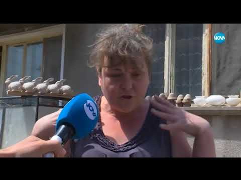 Съседските кучета ме побъркват Жоро Игнатов 02 06 2018