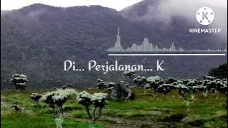 Edelweis MT. Gede Pangrango