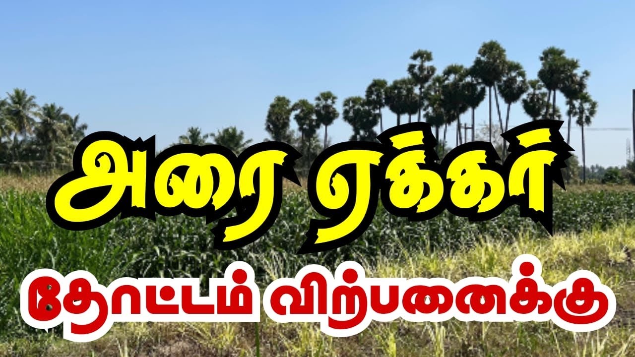 53 சென்ட் தோட்டம் விற்பனைக்கு 