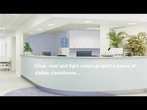 वीडियो: Xalcharo चेयर संग्रह एडवर्निंग विशिष्ट रंग पैलेट