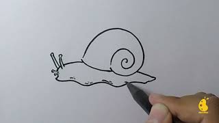 How to Draw Realistic Snail Easy