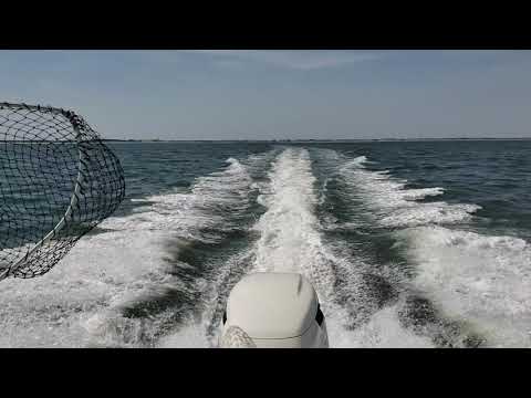 SEABORN FX25 Running