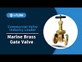 I-FLOW Marine Brass Gate Valve Pressure Test