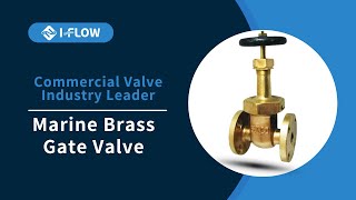 I-FLOW Marine Brass Gate Valve Pressure Test