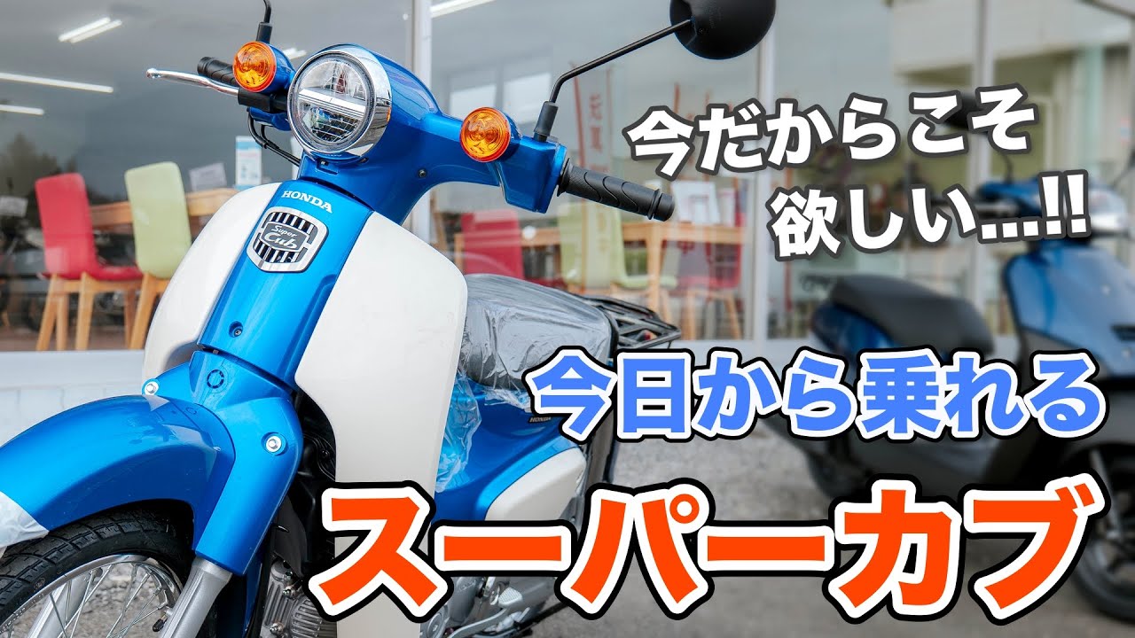 燃費良し/デザイン良し/機能性良し!!スーパーカブが今アツい!!! - YouTube