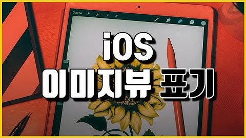 Swift로 iOS앱 만들기 Proj. 고양이 갤러리 App #4 이미지 보여주기 1