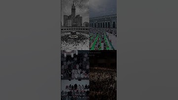 في بيوت أذن الله أن ترفع و يذكر فيها اسمه من سورة النور  بصوت الشيخ سعد الغامدي
